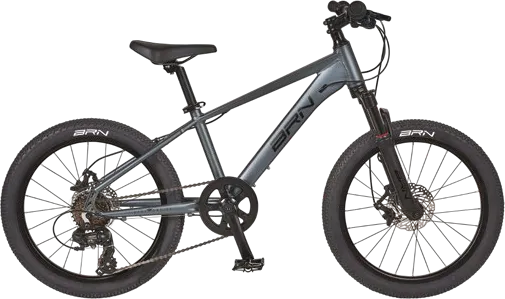 MTB Young 20", bicicletta BRN vista di profilo